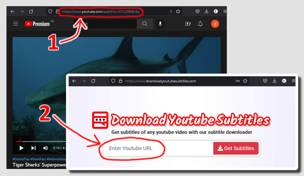 Guide to download Youtube Subtitles to your desktop pc.